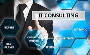 IT Consulting Services